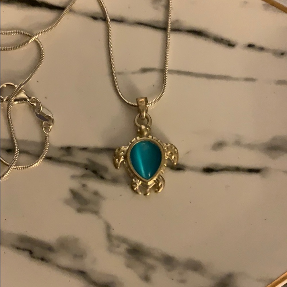 Turtle necklace